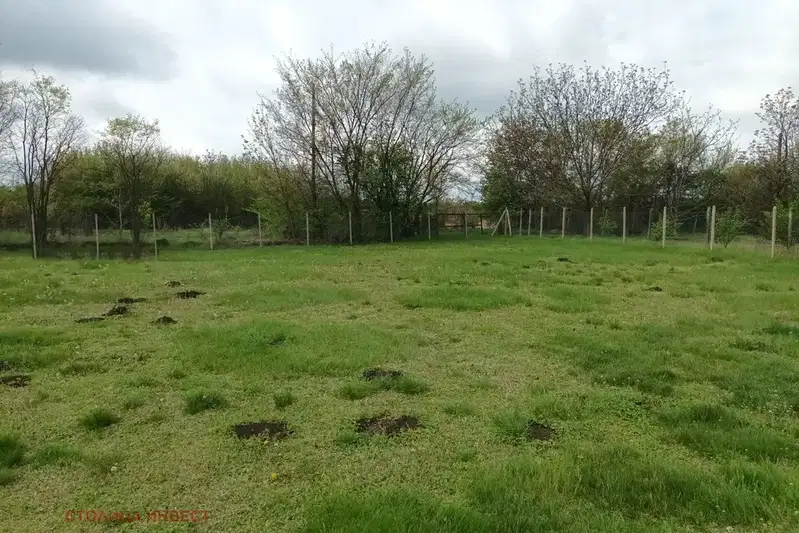 Plot in Ruse, Ekzarh Iosif