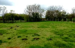 Парцел в Русе, с. Екзарх Йосиф