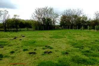 Парцел в Русе, с. Екзарх Йосиф