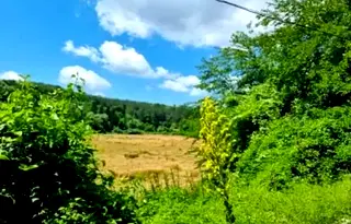 Парцел в Русе, с. Каран Върбовка