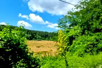 Парцел в Русе, с. Каран Върбовка