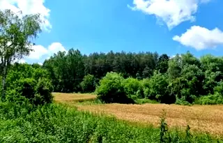 Парцел в Русе, с. Каран Върбовка