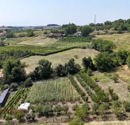 Photo 5 — Plot in Oblast Ruse, Mechka