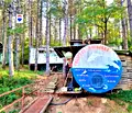 Снимка 4 — Парцел в Русе, с. Могилино