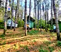 Снимка 5 — Парцел в Русе, с. Могилино