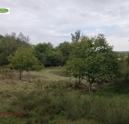 Снимка 3 — Парцел в Русе, с. Николово