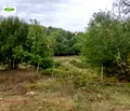 Снимка 4 — Парцел в Русе, с. Николово