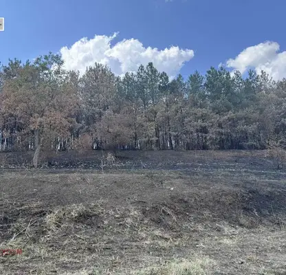 Photo 3 — Plot in Oblast Ruse, Nikolovo
