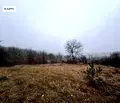 Снимка 4 — Парцел в Русе, с. Николово