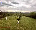 Снимка 2 — Парцел в Русе, с. Николово