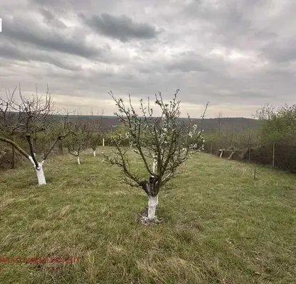 Снимка 2 — Парцел в Русе, с. Николово