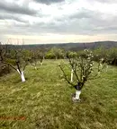 Парцел в Русе, с. Николово
