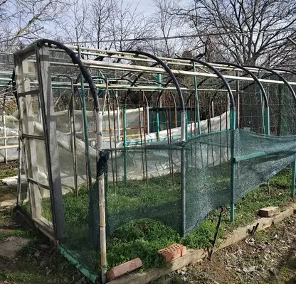 Снимка 2 — Парцел в Русе, с. Николово