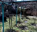 Снимка 5 — Парцел в Русе, с. Николово
