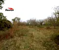 Снимка 2 — Парцел в Русе, с. Нисово