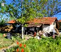 Снимка 4 — Парцел в Русе, с. Ново село