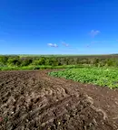 Парцел в Русе, с. Ново село