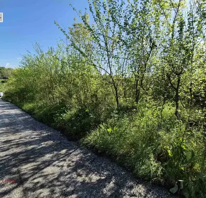 Снимка 2 — Парцел в Русе, с. Ново село