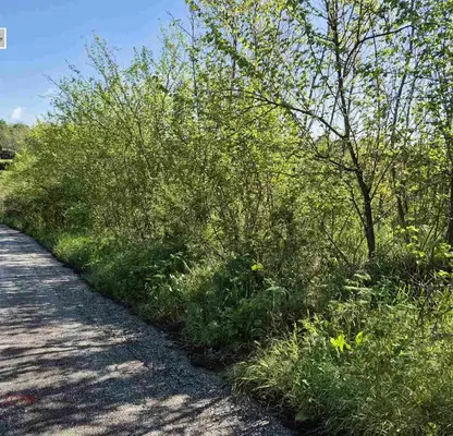 Снимка 3 — Парцел в Русе, с. Ново село
