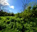 Снимка 4 — Парцел в Русе, с. Ново село