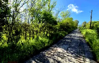 Парцел в Русе, с. Ново село