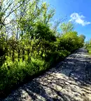 Парцел в Русе, с. Ново село