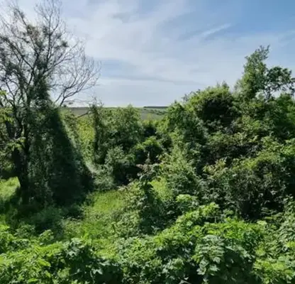 Photo 2 — Plot in Ruse, Novo Selo