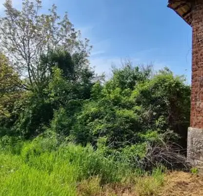 Photo 3 — Plot in Ruse, Novo Selo