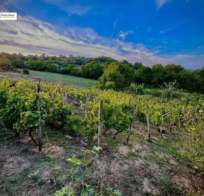 Photo 2 — Plot in Oblast Ruse, Pirgovo