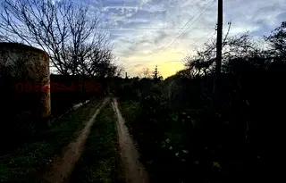Парцел в Русе, с. Писанец
