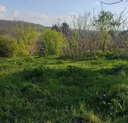 Снимка 4 — Парцел в Русе, с. Просена