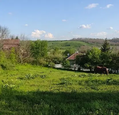 Снимка 5 — Парцел в Русе, с. Просена