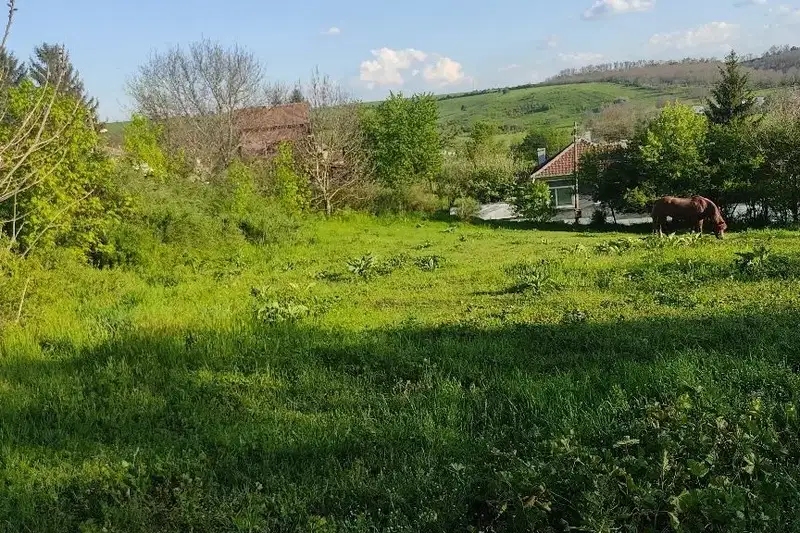 Парцел в Русе, с. Просена