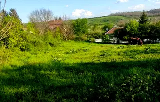 Парцел в Русе, с. Просена