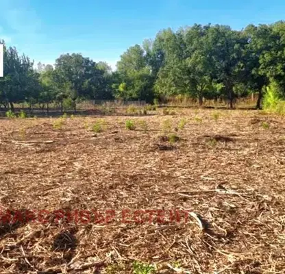 Photo 4 — Plot in Oblast Ruse, Ryahovo