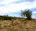 Снимка 2 — Парцел в Русе, с. Табачка