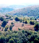Парцел в Русе, с. Табачка