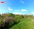 Снимка 3 — Парцел в Русе, с. Тръстеник