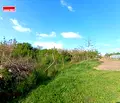 Снимка 4 — Парцел в Русе, с. Тръстеник