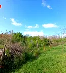 Парцел в Русе, с. Тръстеник