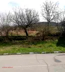 Парцел в Шумен, Каспичан