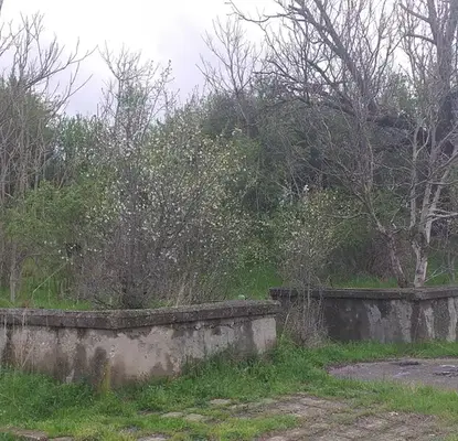 Photo 2 — Plot in Oblast Shumen, Smyadovo