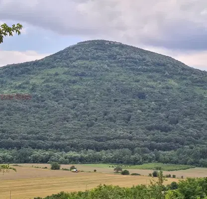 Photo 3 — Plot in Oblast Shumen, Cherni Vryh
