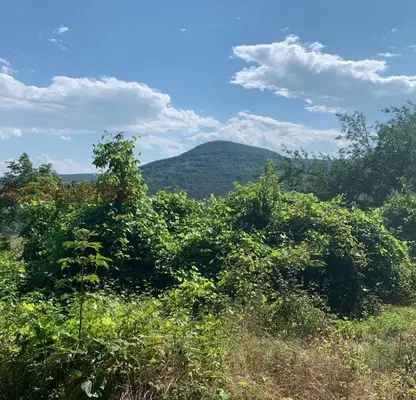 Photo 5 — Plot in Oblast Shumen, Cherni Vryh