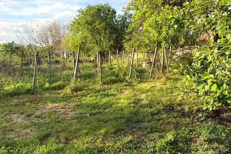 Plot in Oblast Shumen, Iliya Blyskovo