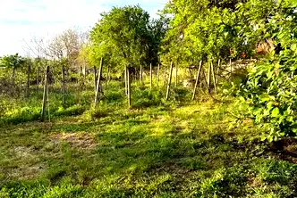 Парцел в Шумен, с. Илия Блъсково