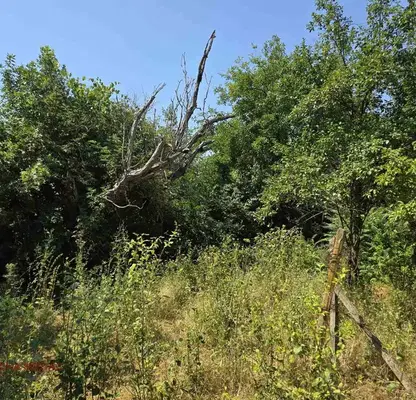 Photo 3 — Plot in Oblast Shumen, Ivanski