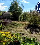 Парцел в Шумен, с. Ивански