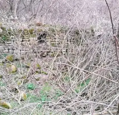 Photo 3 — Plot in Oblast Shumen, Kaspichan