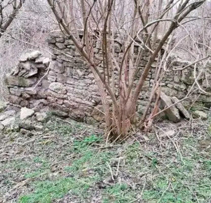 Photo 4 — Plot in Oblast Shumen, Kaspichan